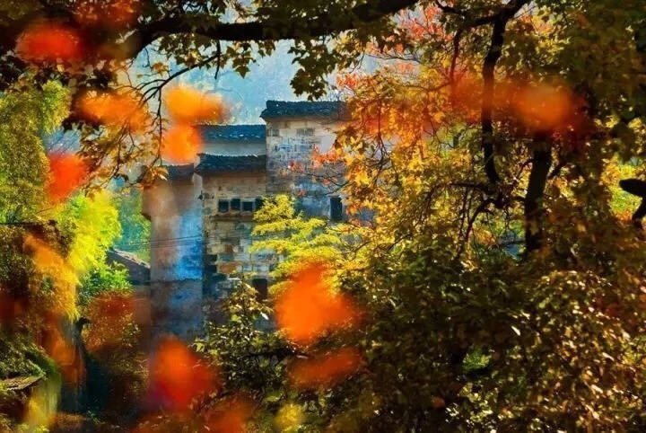 【心在旅行】下马柳阴下独上堤上行