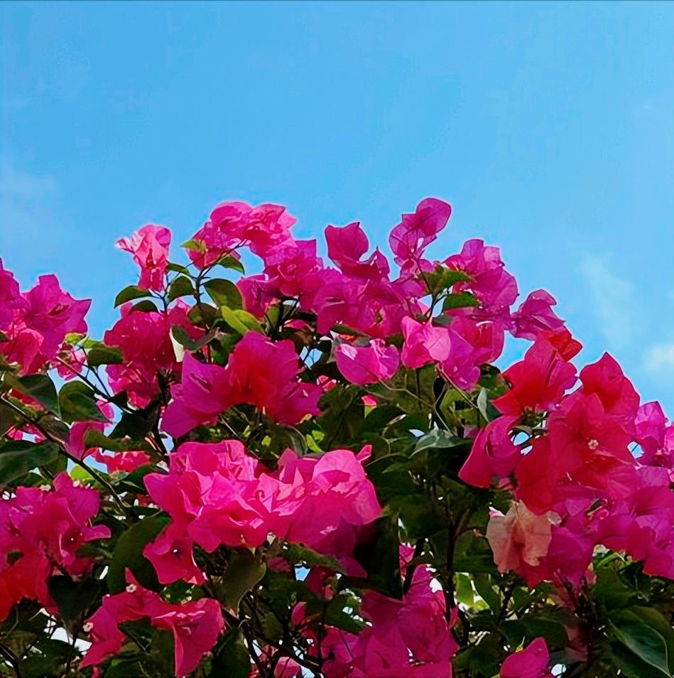 法学博士史卫忠履新 12月27日，史卫忠博士履新。 史博士1997年获得