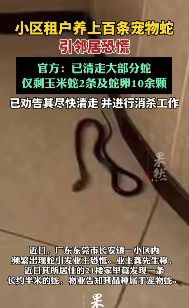 “太吓人了！”近日，广东东莞，不少业主家里频繁出现半米长的蛇，让很多老人和孩子都