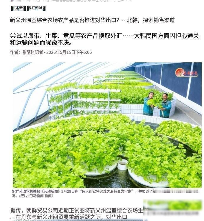 干着急没办法！朝鲜派业务员来华急寻销路，新义州的果蔬想卖到中国，这事儿光靠一句“