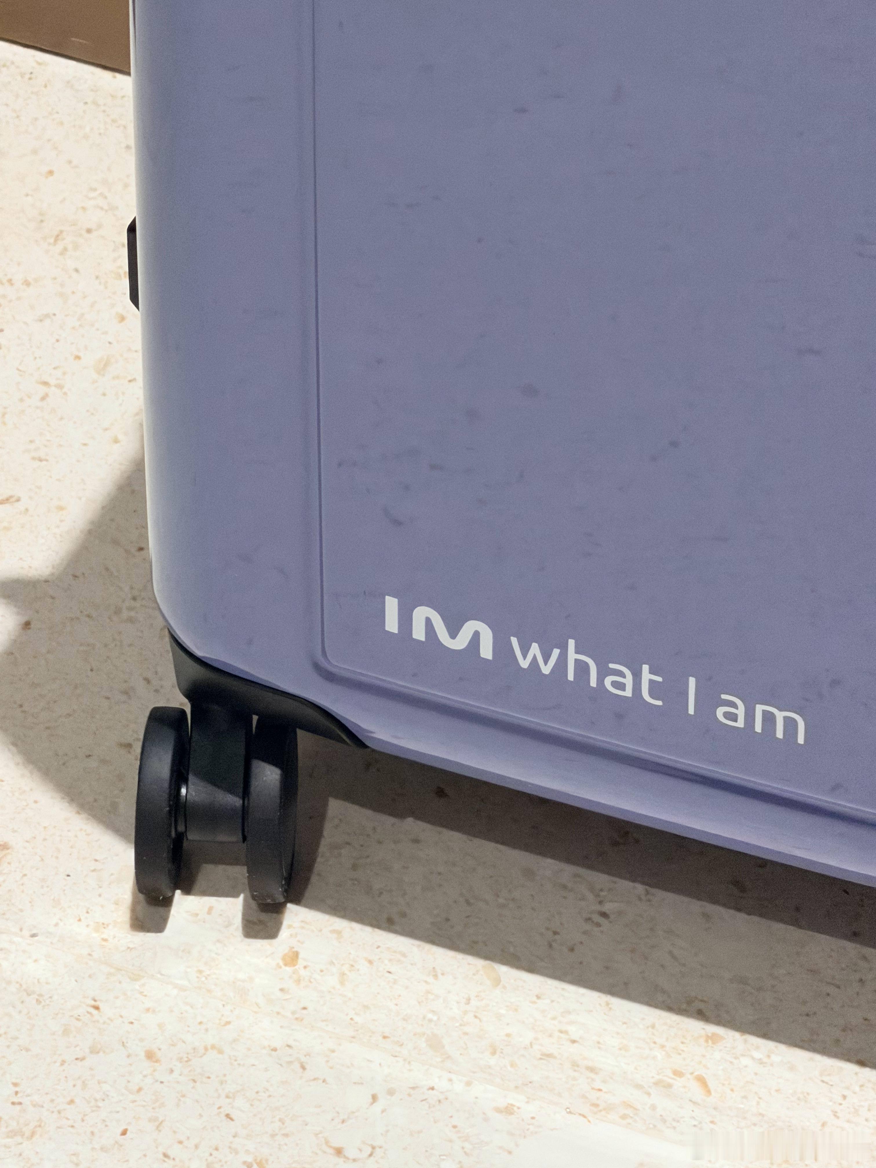 骐骥贺岁，感谢智己