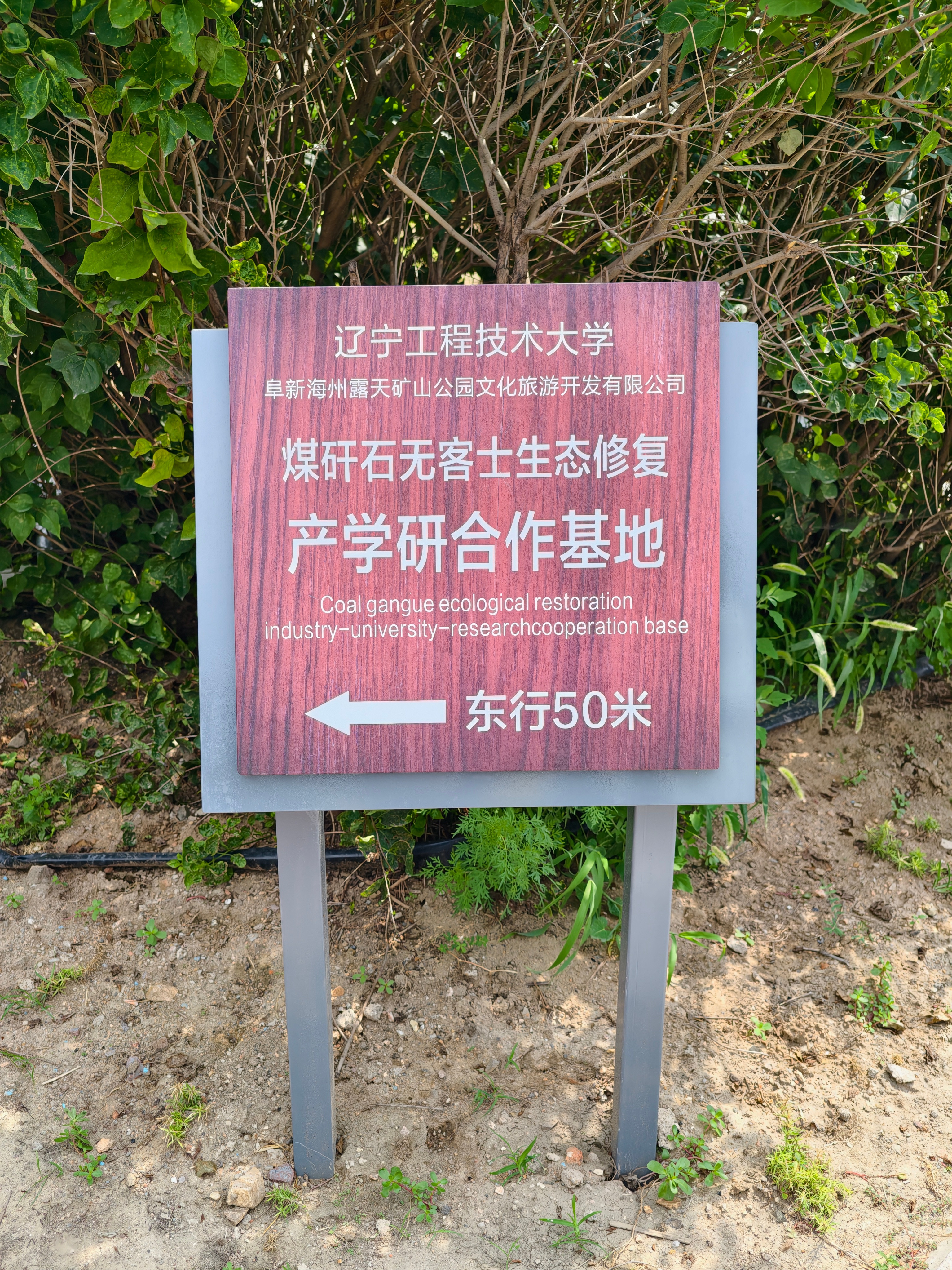 离谱的文字错误[吃瓜]​​​