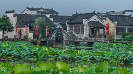 今天咱们聊一所特别值得关注的学校——安徽公安学院。为啥说它特别？因为它是安徽省