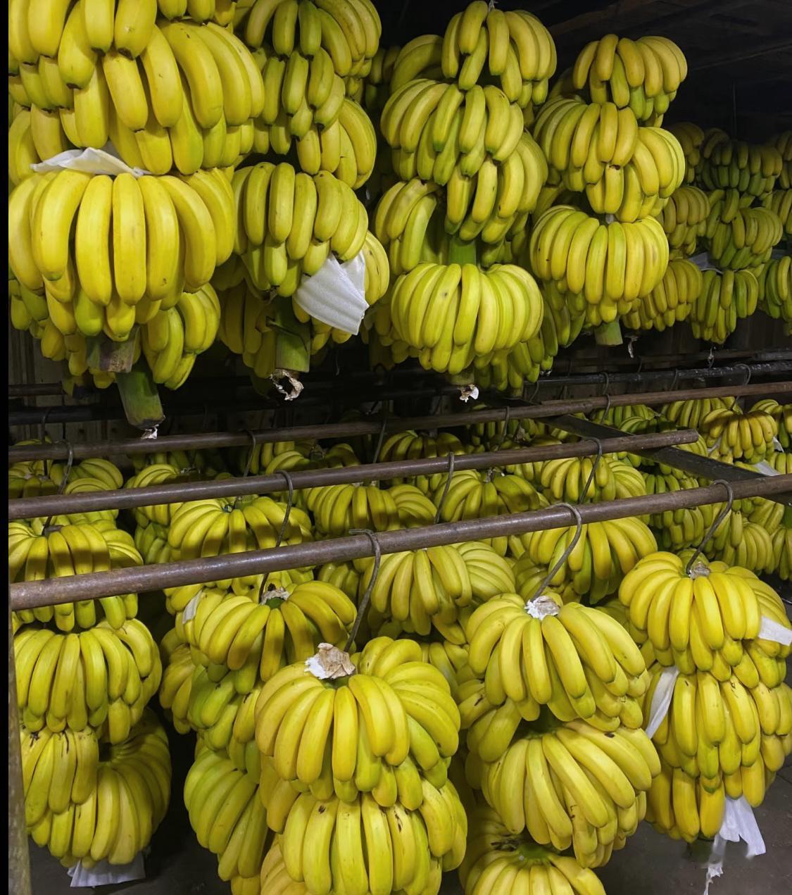 香蕉协会怒斥东大东大你断了30万蕉农的生计！据悉，东大市场上的进口香蕉份
