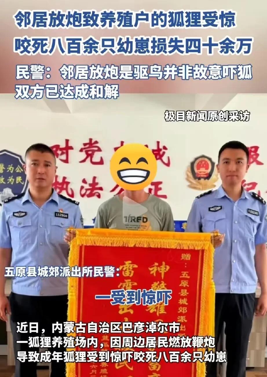内蒙古巴彦淖尔，男子在村里养殖狐狸，周边邻居燃放鞭炮导致狐狸受惊，咬死800多只