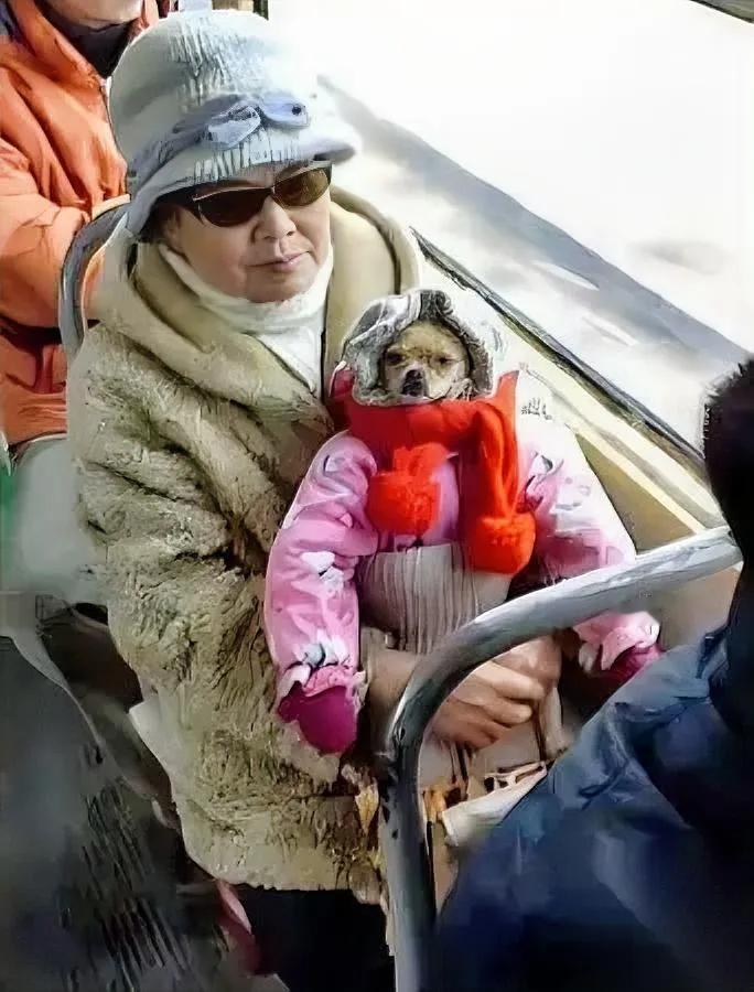 老太太把狗扮成娃混上车，这波操作太野！我差点给她鼓掌——直到想起万一狗突然翻