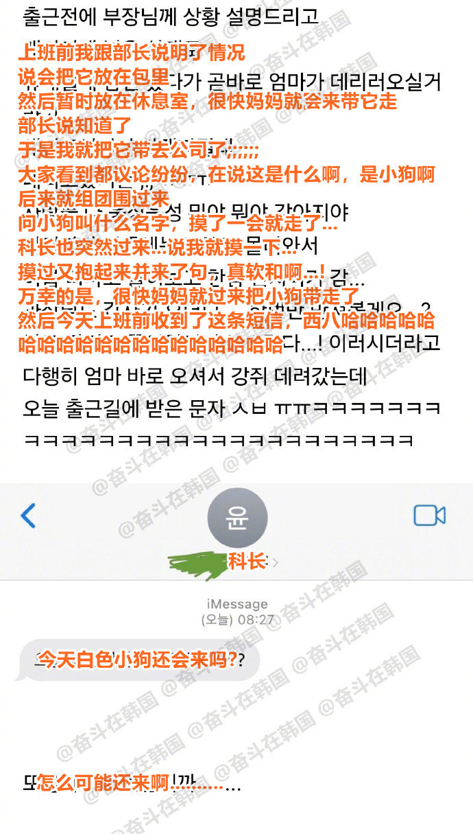 因为不得已的原因带着狗子去公司上班之后...海外新鲜事热点现场