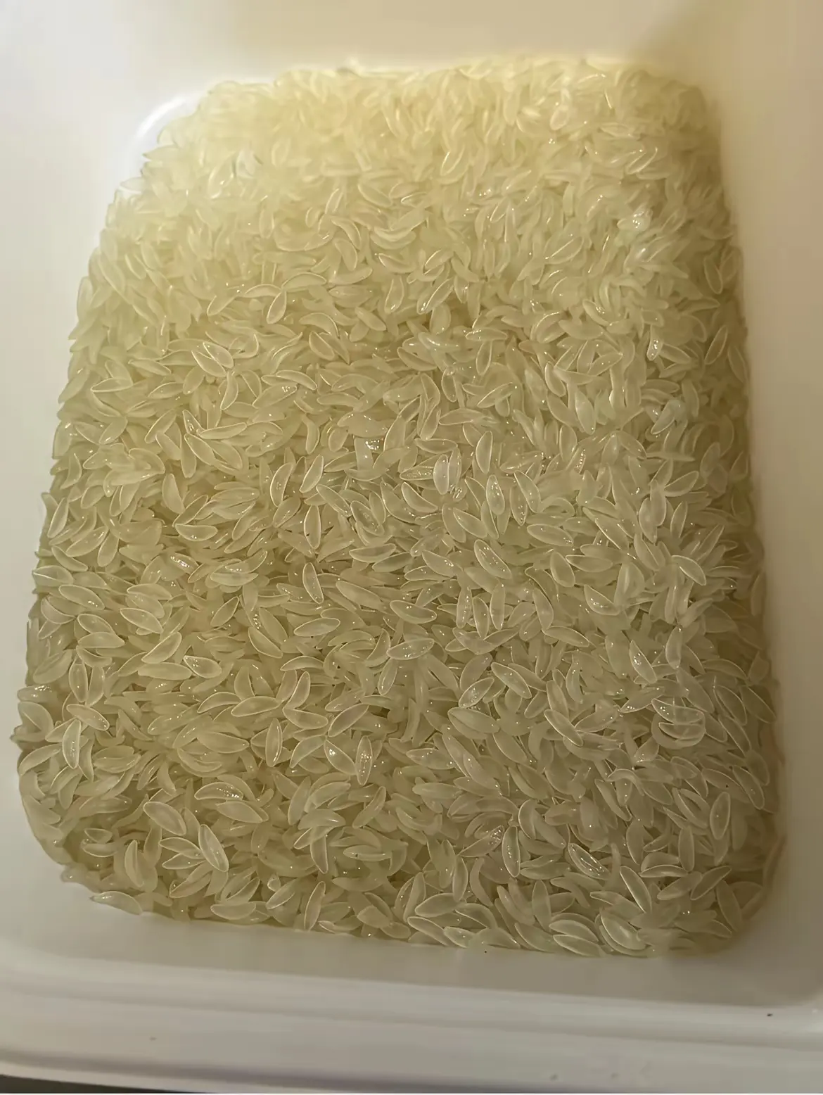 这是什么大米啊？看起来很好吃的样子