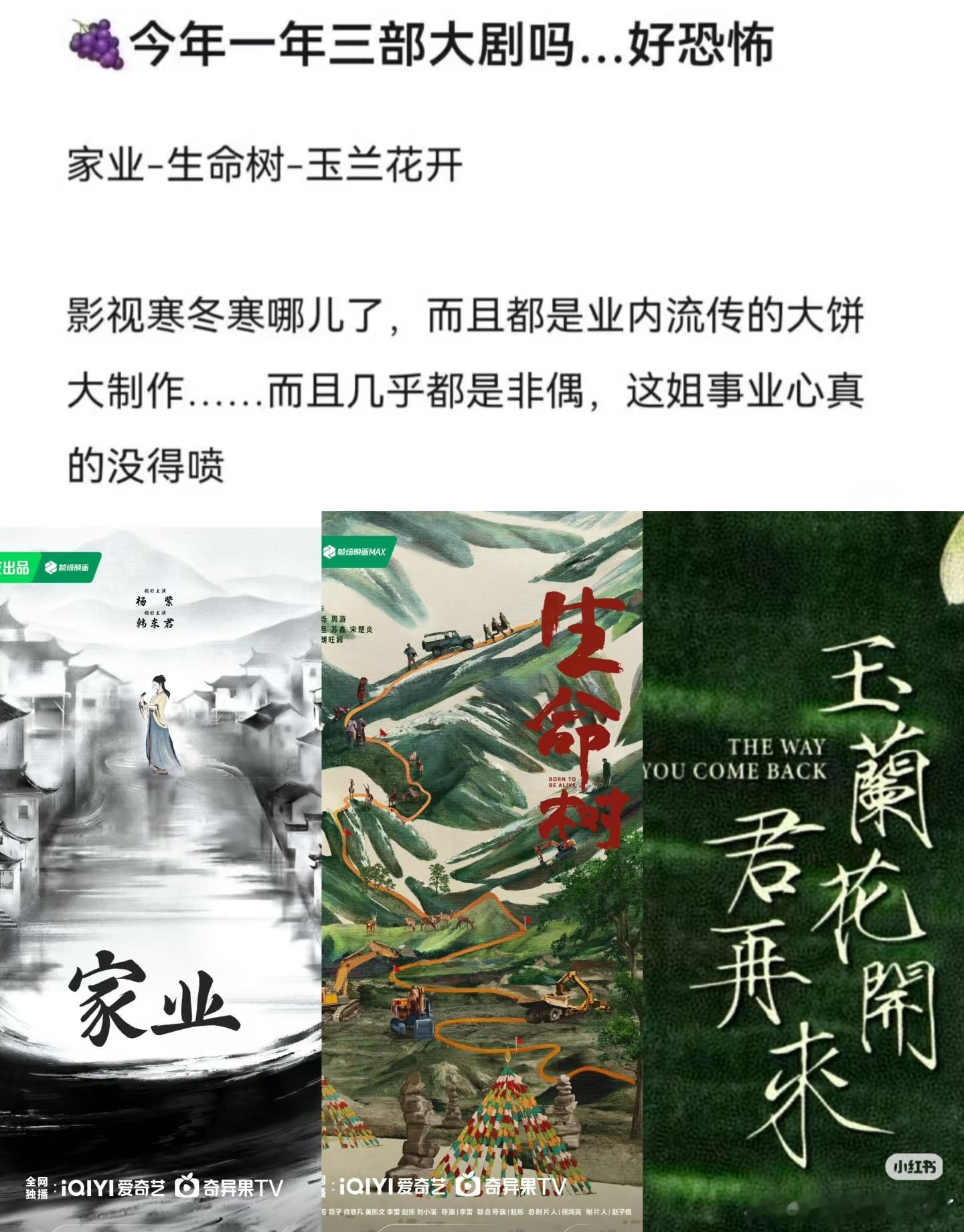 杨紫部部都是高质量可冲奖的剧我一个常年看电视剧的只是剧粉的都觉得她好厉