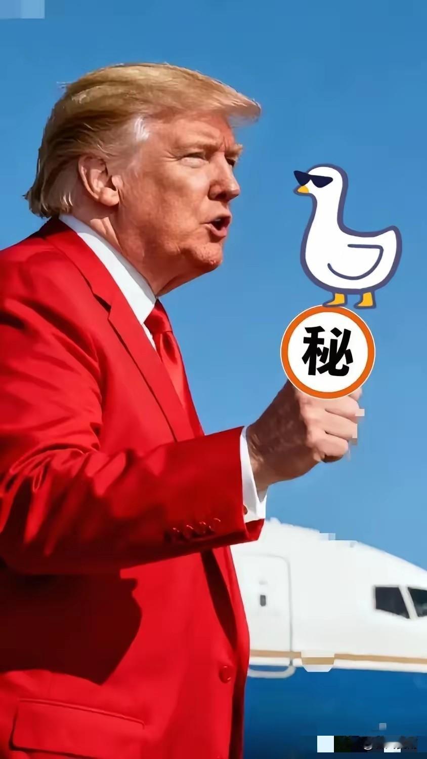 美国政府宣布了财联社11月7日电，据报道，消息人士称，特朗普政府正考虑从周五