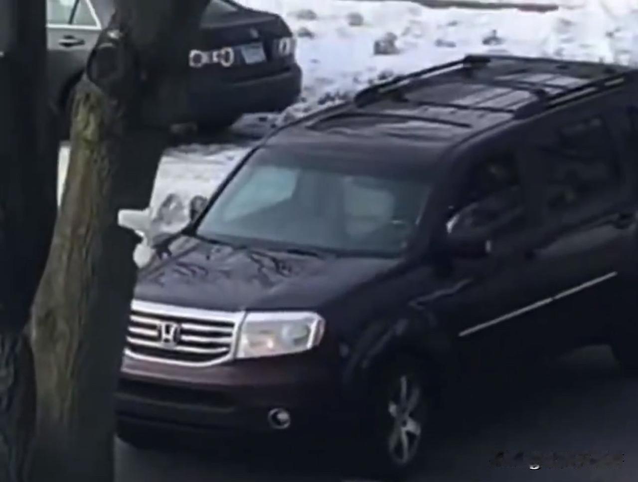 明尼苏达州女子挑衅ICE视频出现了根据最新流出的视频，被击毙的蕾妮·