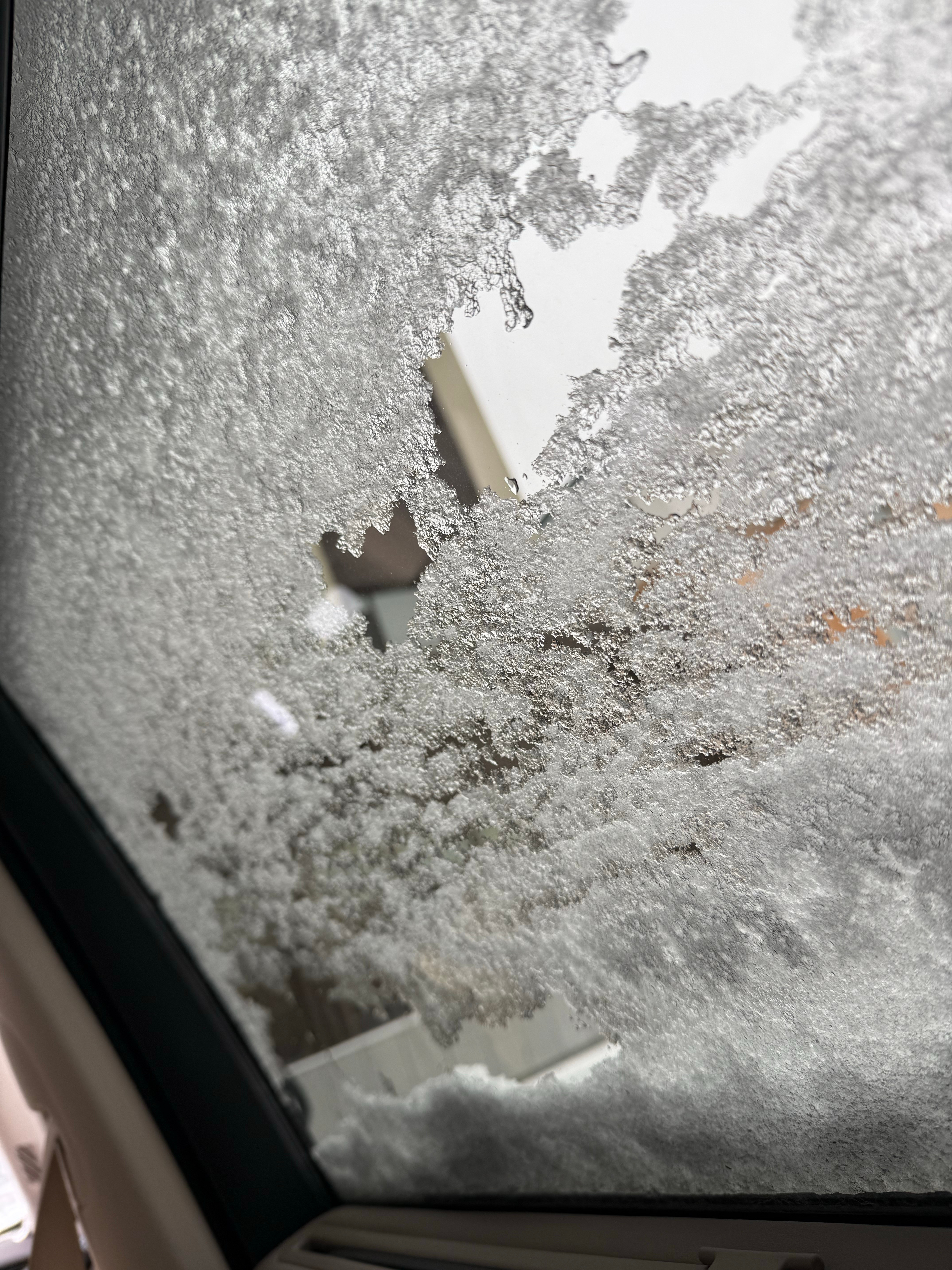 车窗外已经是一片白雪茫茫～​​​