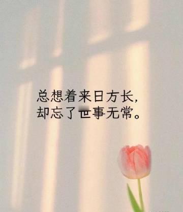 如果一个人不主动找你，还要再主动一直去找他吗？宫崎骏曾经说过：