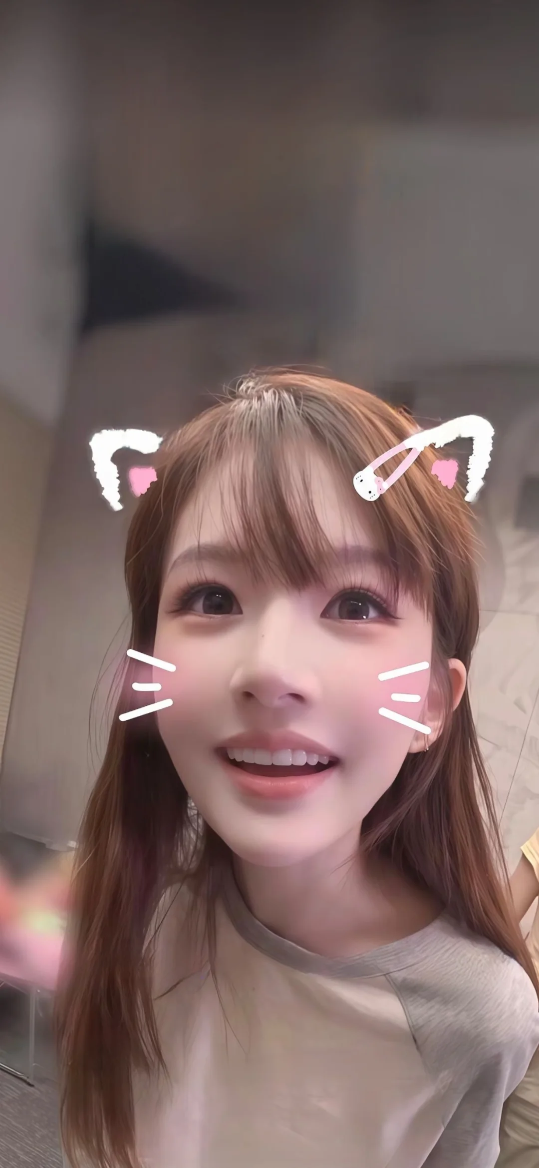 小猫咪露露