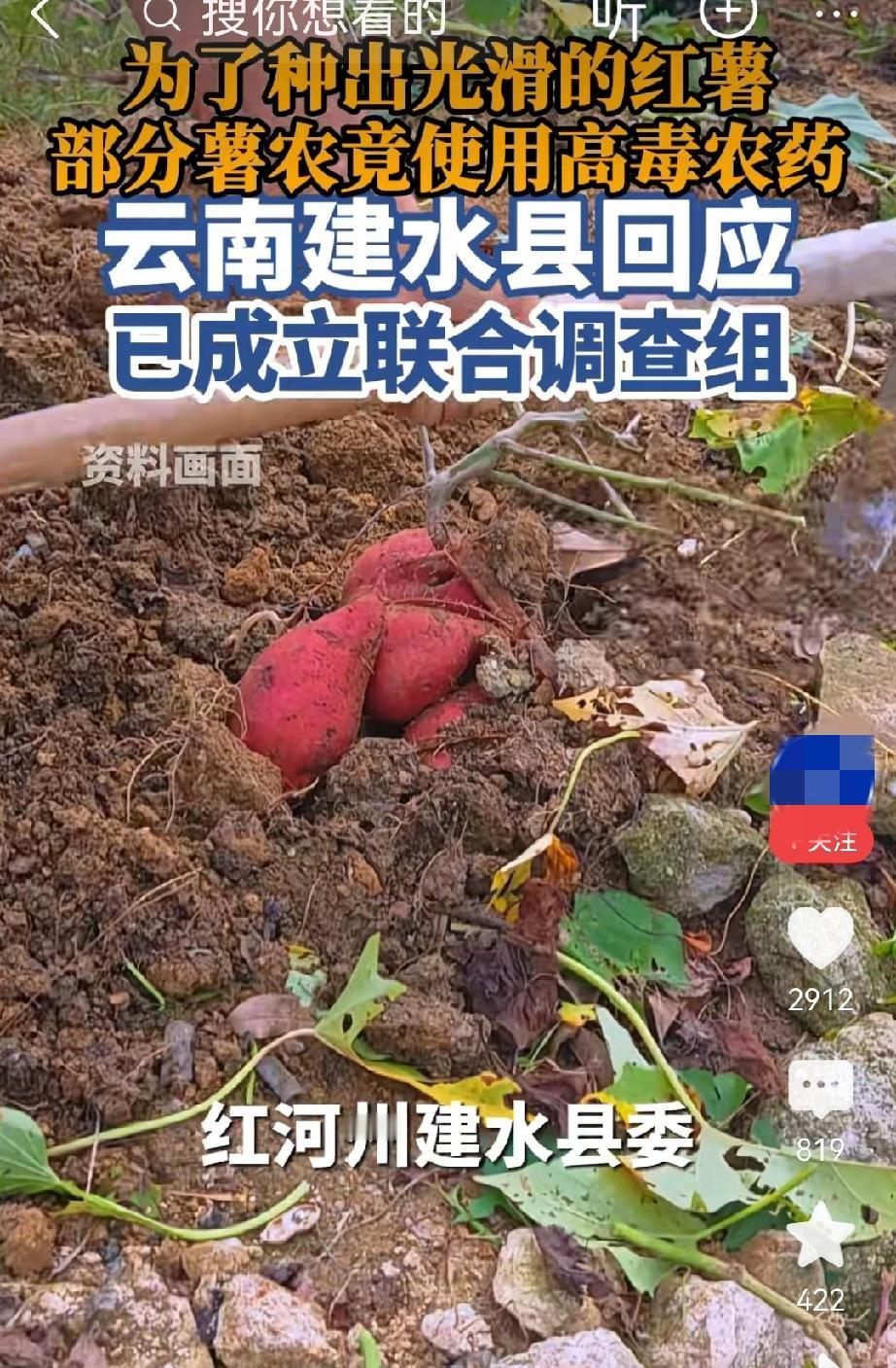 云南毒红薯事件，我有4个疑问冬天常吃红薯，而且买到的红薯都看不到虫咬痕迹，看