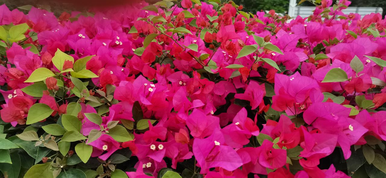 我对券商股的看法：我也持有劵商股，被套牢快一年了，在上周五前一天加仓了，没想到