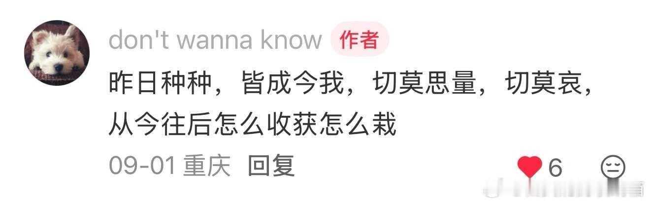 盘点无数次拯救我于水火中的话