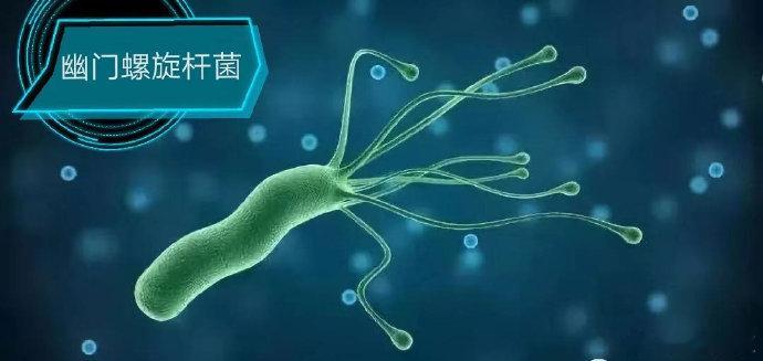 发现幽门螺杆菌不治疗会得胃癌吗【体检发现幽门螺杆菌感染，不治疗会得胃癌吗？】在门