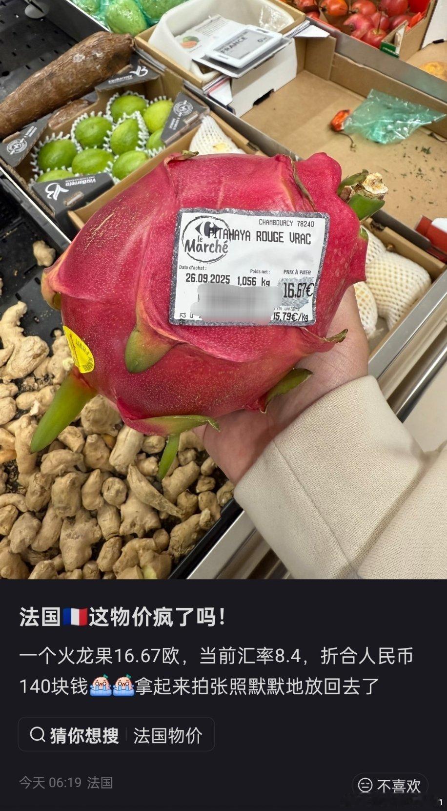 法国物价真的疯了，140块钱一个火龙果​​​