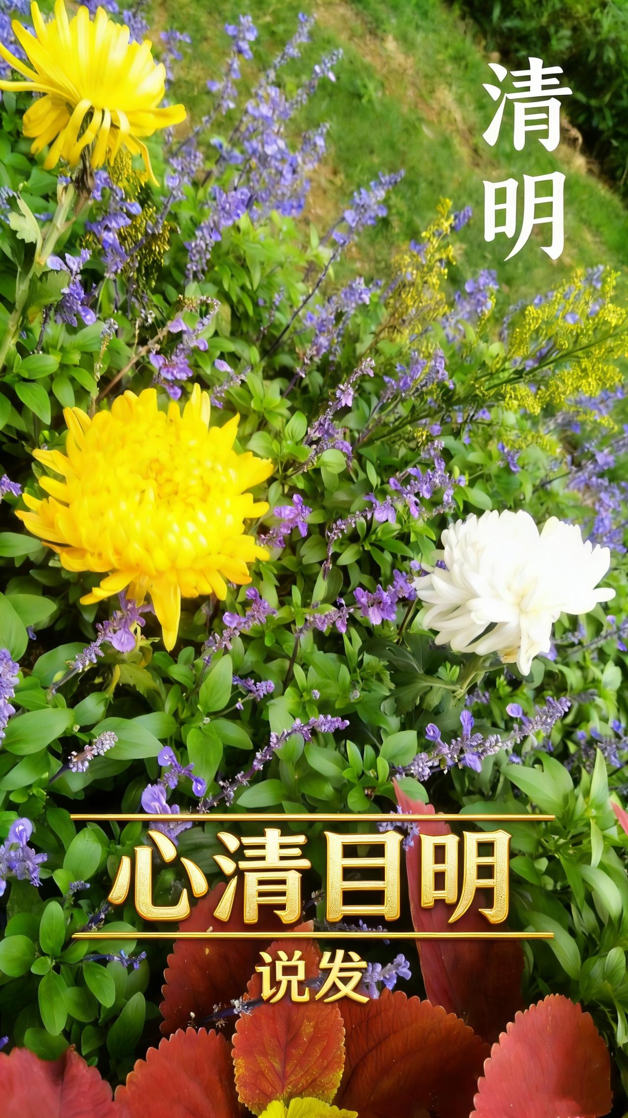 低谷从非人生的终点，是命运磨心的试炼场。钱散可挣，职失能闯，真正的溃败，从