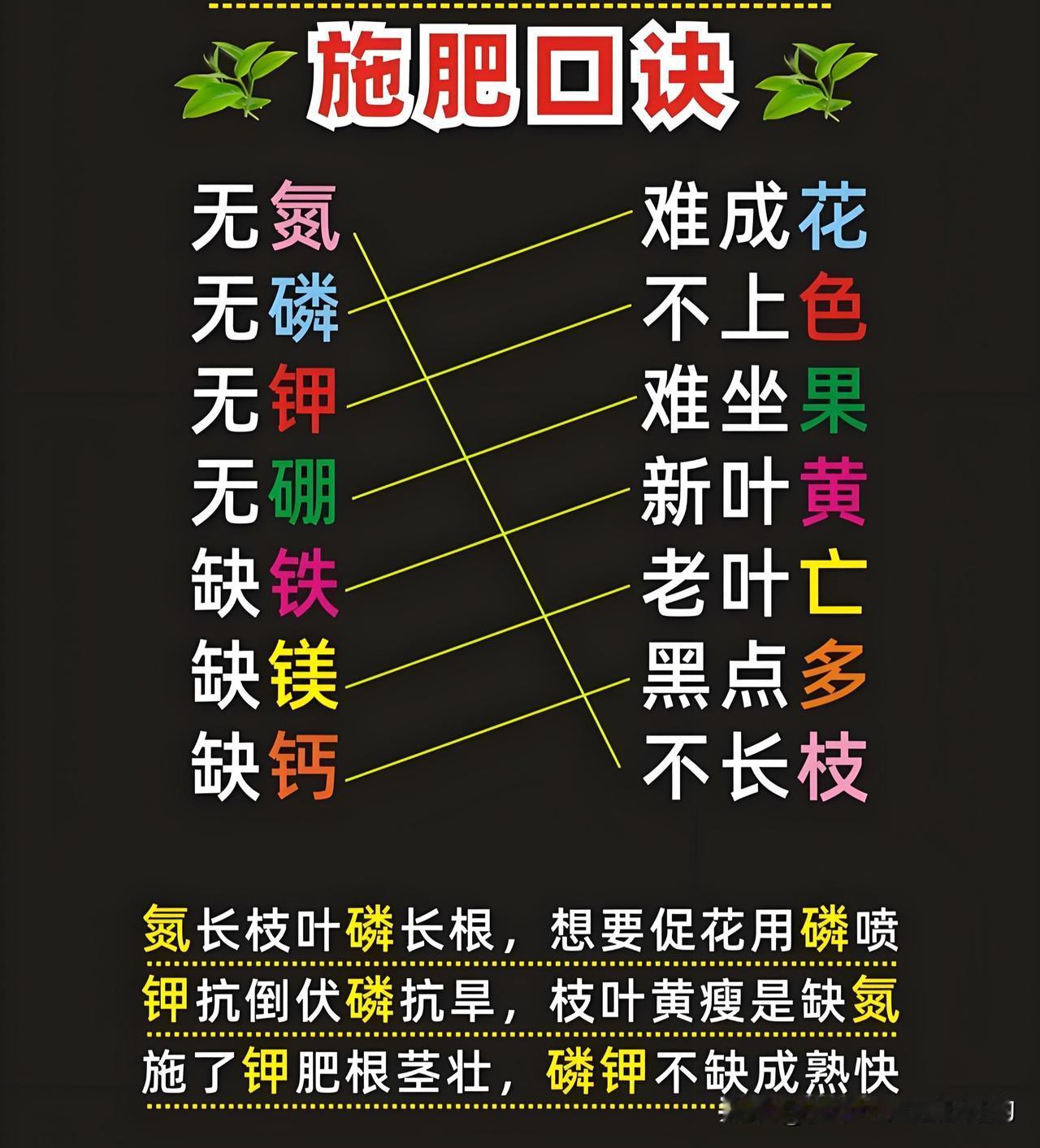 别再盲目施肥了！这套口诀，让你轻松当种菜能手～·氮长枝叶磷长根，促花催花靠