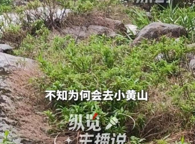 太诡异了！浙江安吉，31岁男子以“去杭州接人”为由骗过所有亲友，深夜独自飙车10