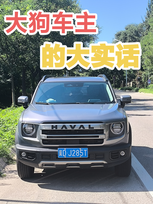 大狗车主的大实话我的车是24款大狗边牧，以我的使用情况来看，买新车我估计不会给