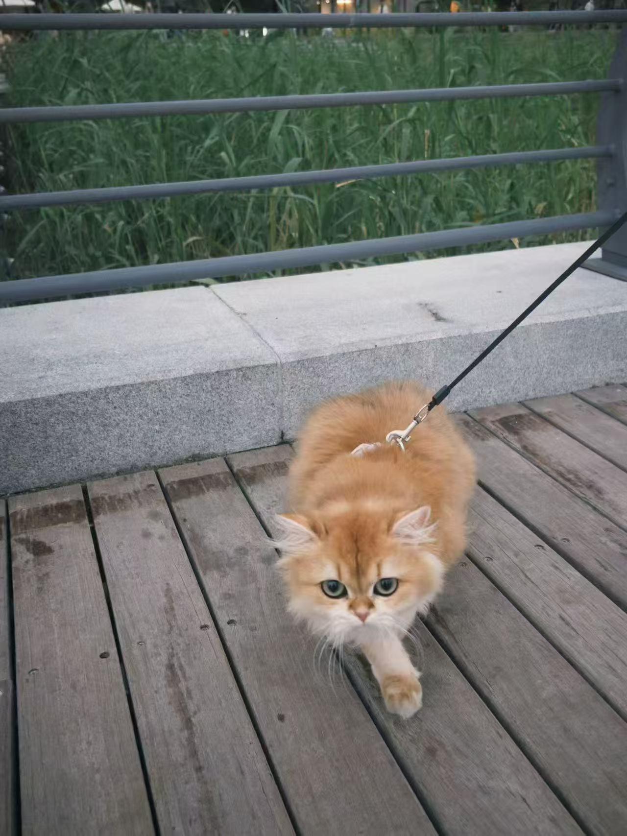 隔壁小区，有一个女人跟别人跑了，跑就跑吧，跑了好几年又回来了，回来就回来吧，只要