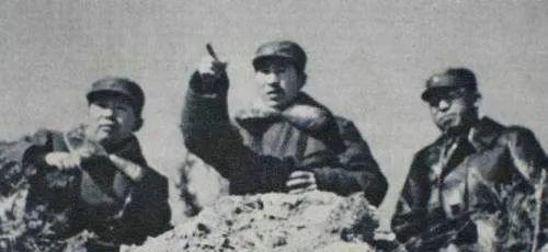 38军、39军、40军、41军、43军，号称林彪麾下的“5只老虎”，可在1950
