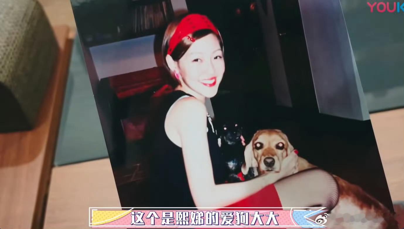 一直都觉得小s当年婚礼上大s的抹胸礼服很惊艳她是最挺家人最爱妹妹的姐姐唯一失言的