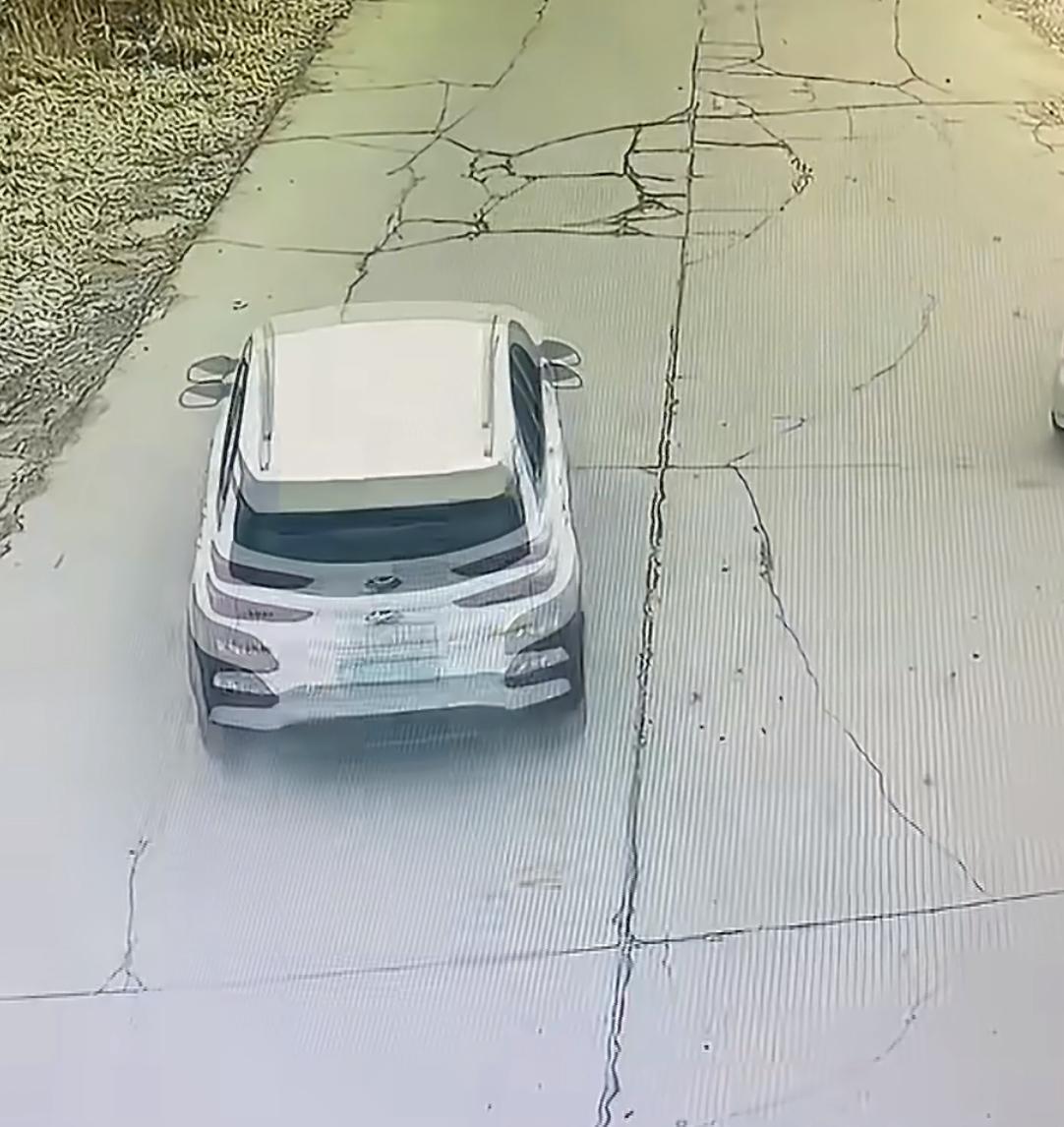 大家看下，这起事故该车主给狗主人赔3500块吗？两个狗追逐打闹，这个司机正常开车