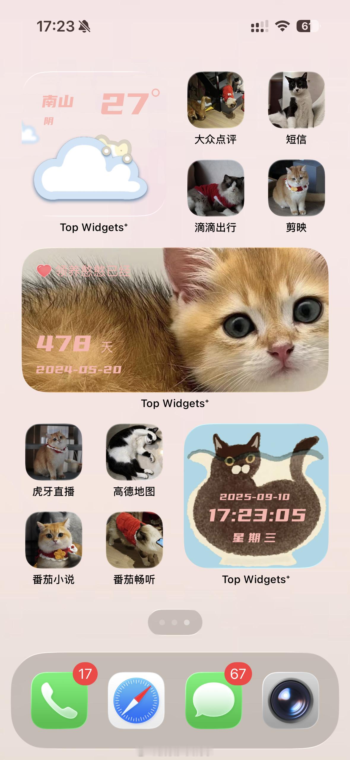 刚升级iOS26的天都塌了更新完就给自己整了个小猫主题，小猫流动照片墙和纪念日组