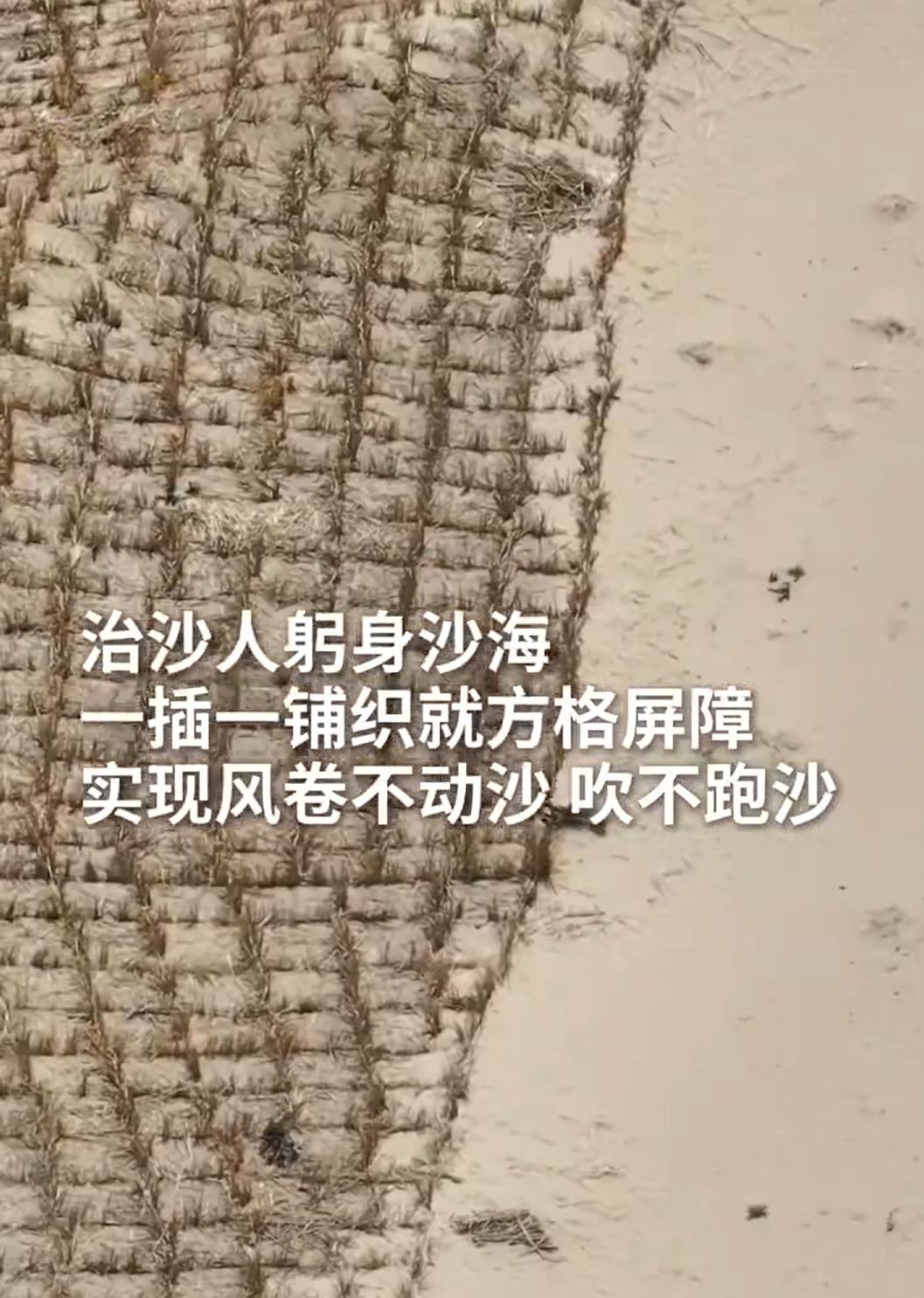 毛乌素沙地之后，下一个是塔克拉玛干沙漠？5000多亩的草方格。看清楚，不是5