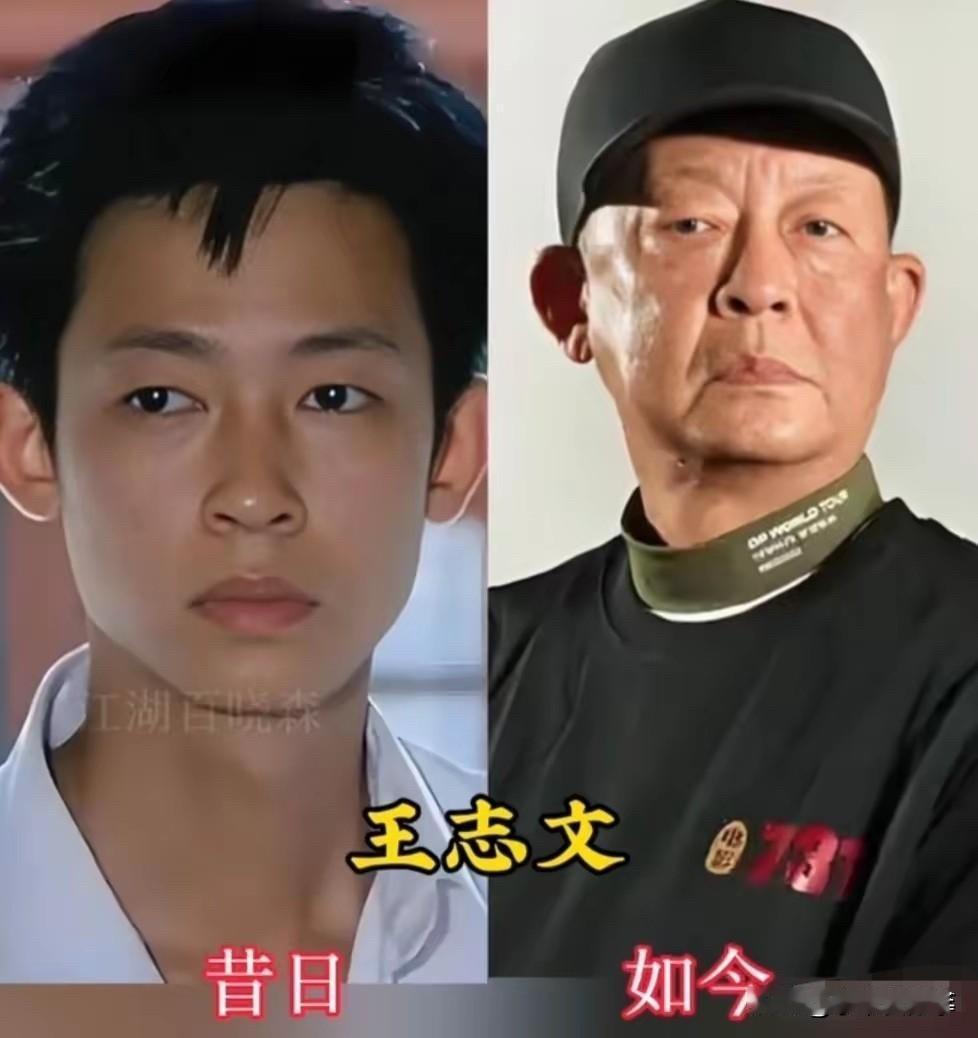 男神女神今昔对比！这12位明星年轻时惊艳时光，如今你还认得出几个？先说说王志