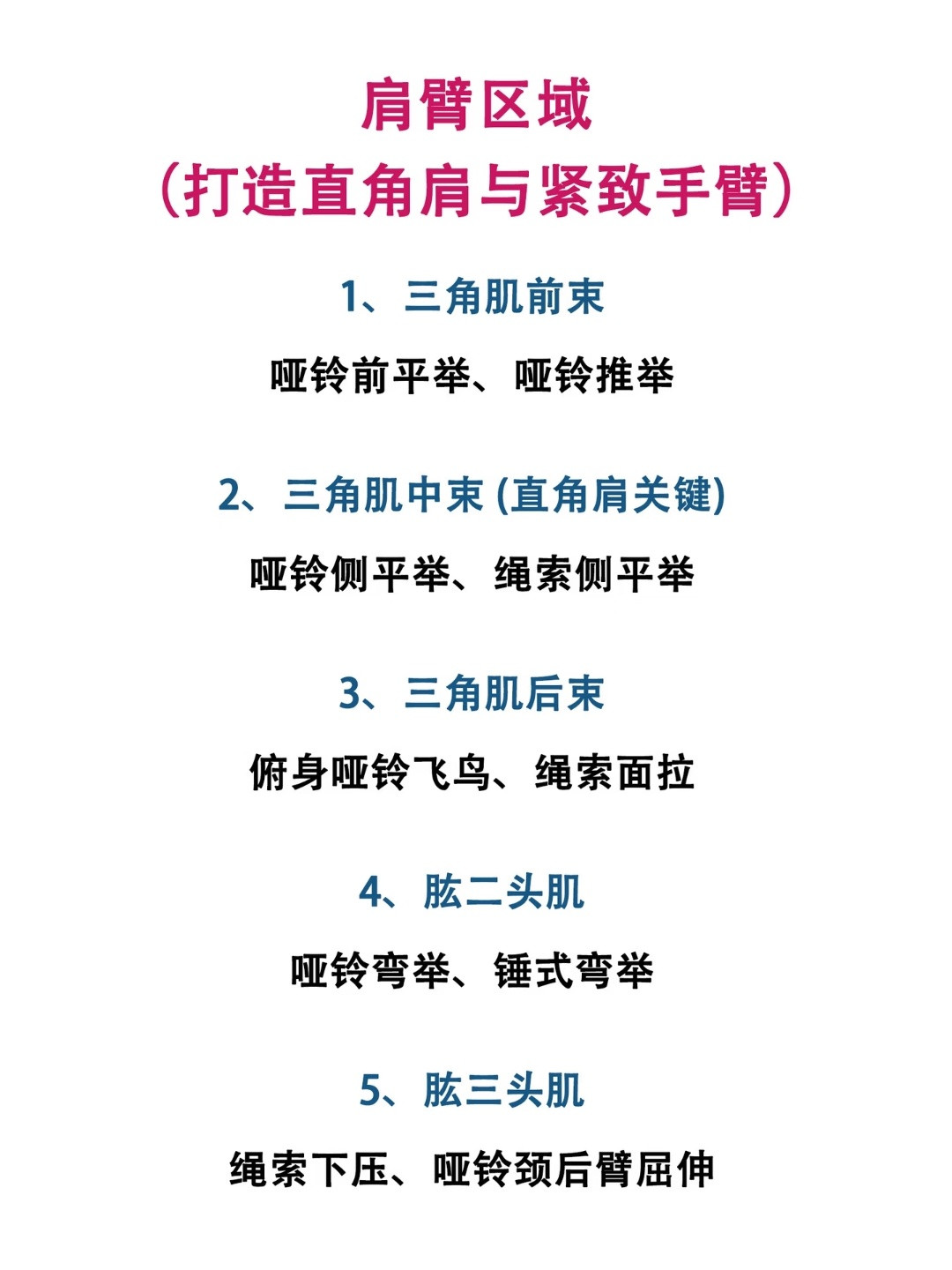 肌肉图解｜女生专属训练指南​​​