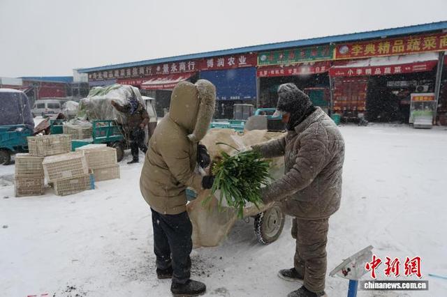 河南这场雪下得有多大? 权威数据来了