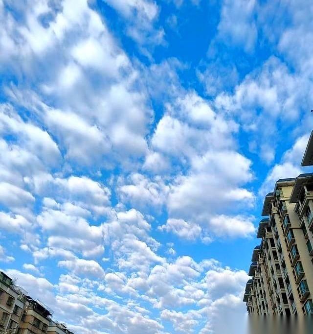 一个几百年不响的家族群，突然炸了。堂哥就发了一行字：我爸没了。那个我只在照片