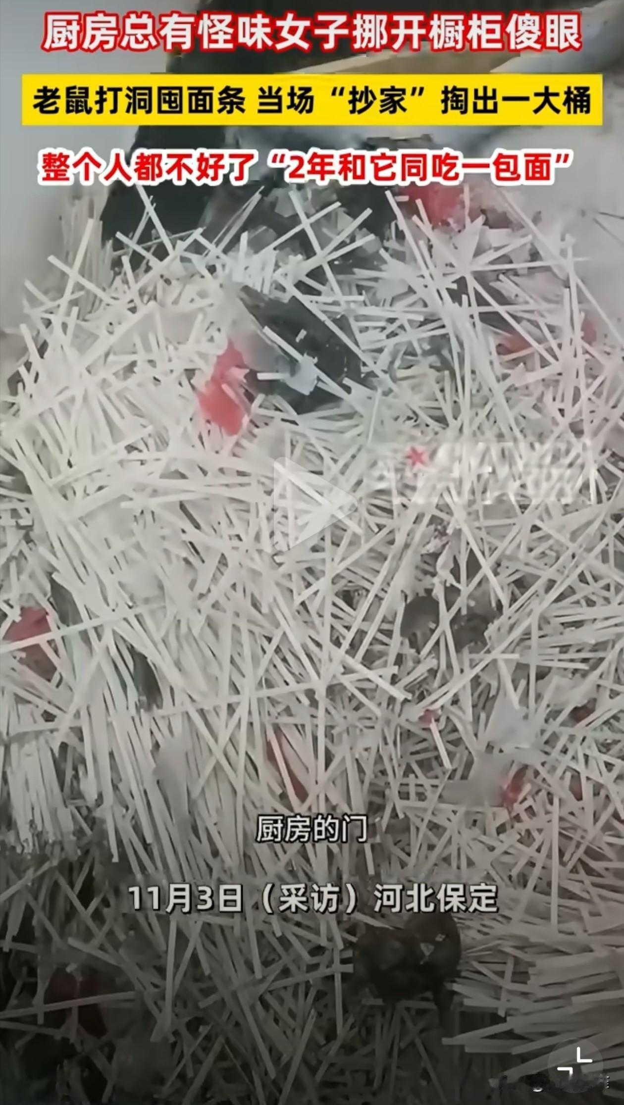 女子打扫厨房卫生，挪开橱柜后，发现了两个老鼠洞，她伸手进去掏出一大桶面条，看到后