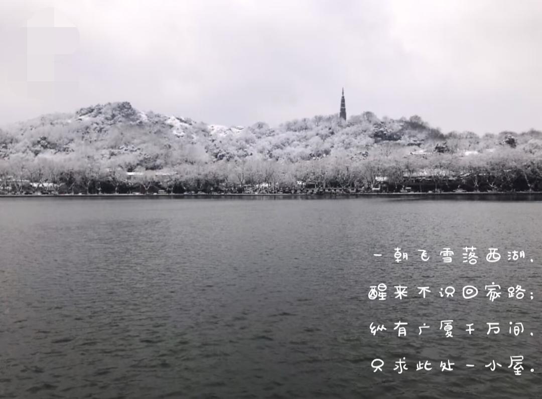 26年元旦，大家一起蹲一场西湖大雪吧？官方最新的天气预报显示:杭州西湖2026