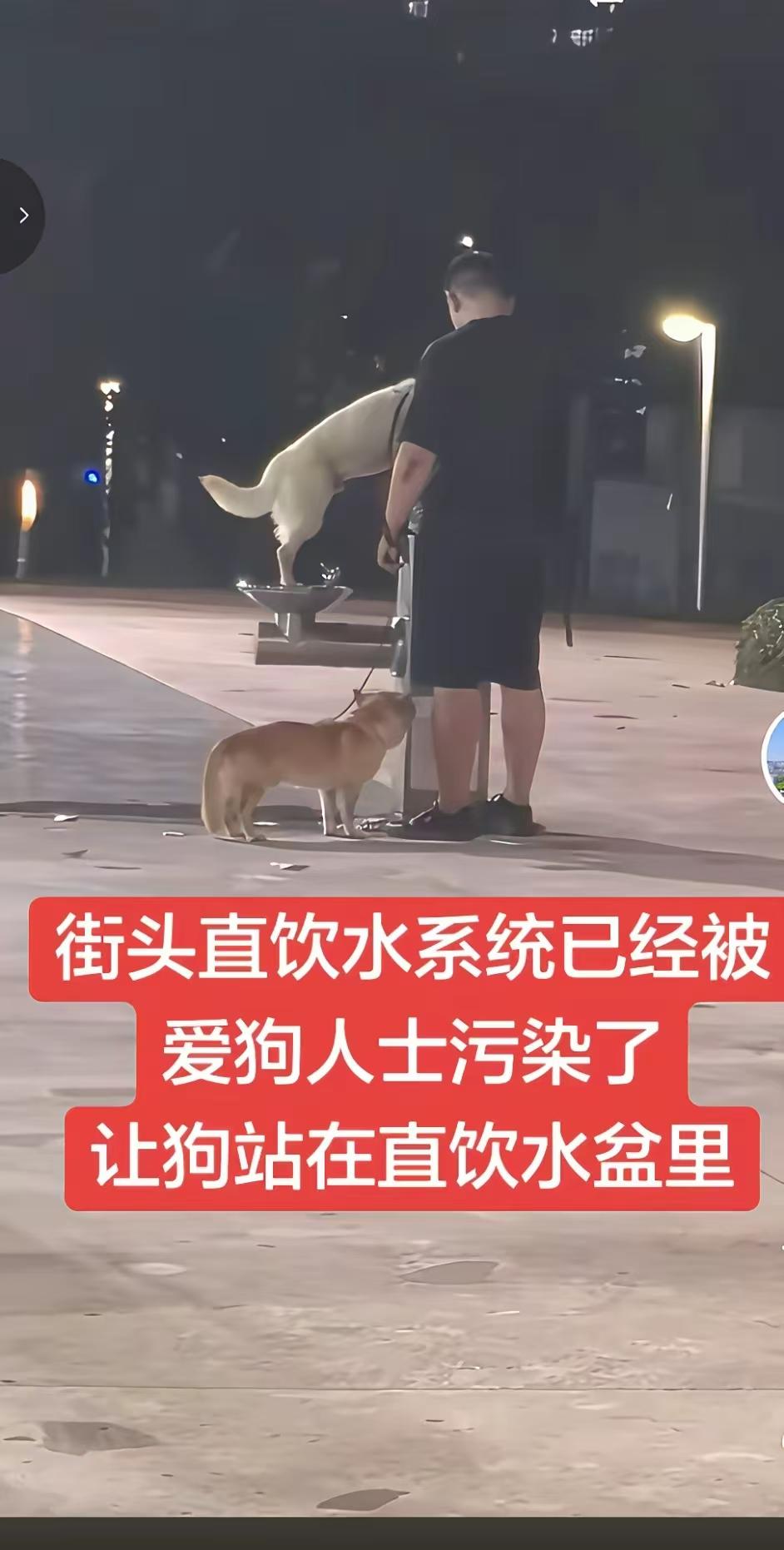 这个狗主人太缺德了，简直是道德沦丧，强烈建议他所在的单位开除他，狗主人的行为已经