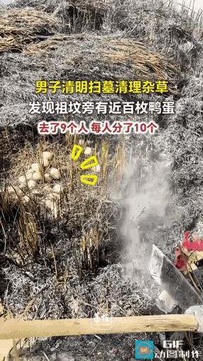 万万没想到！江西九江，男子一家人清明上山给太奶扫墓，因为旁边有田，于是一家人就开