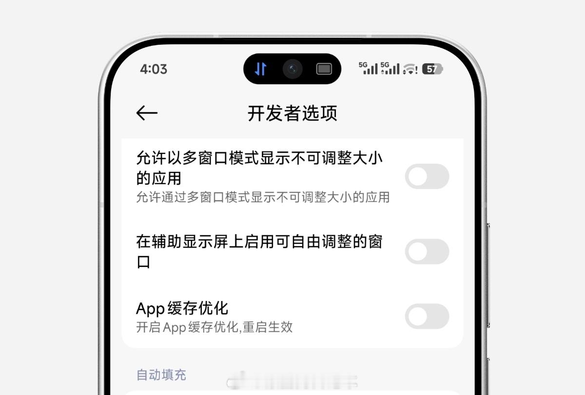 问问大家，反映“App不能后台下载”的，都是去开发者选项手动打开“App缓存优化