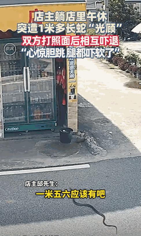 “太吓人了！”7月31日，广东汕尾，一男子正在店内午休，不料，一条大蛇悄悄溜了进