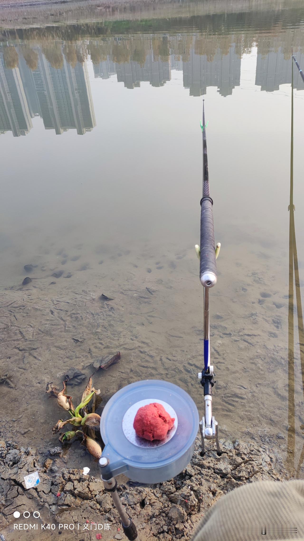 白条一般是不会下底吃食了，有些人钓鱼被白条闹崩溃了，实际原因还是自己的操作有问题