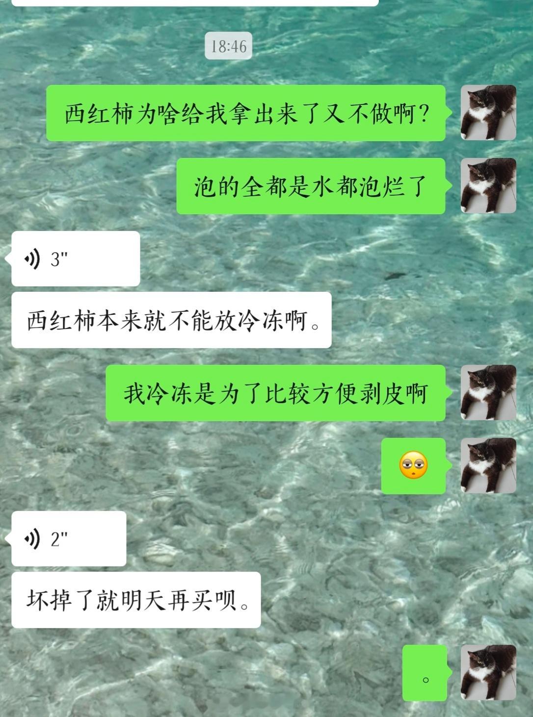 祭奠我死去的西红柿好吧
