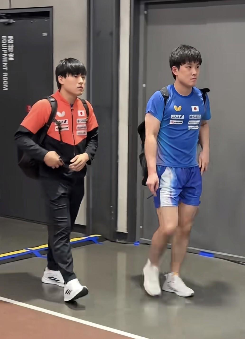张本智和这次来中国参赛，真的是非常非常低调。张本智和如此低调，或许是意识到之前