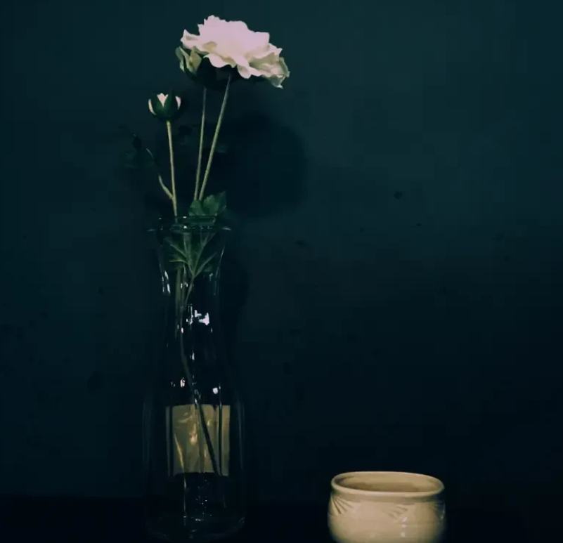 婆婆发烧，坚持即将高考的孩子过去吃饭，我不同意，老公朝我大发雷霆，说我不孝顺，