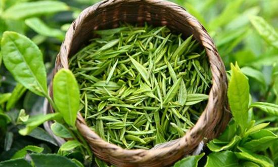 每天喝点这几种茶, 能让你的肌肤美白, 更显年轻!