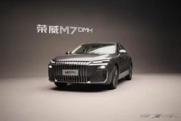 一车管所领导说，2025年买车需谨慎：1、买大——选择知名品牌，售后才有保障；