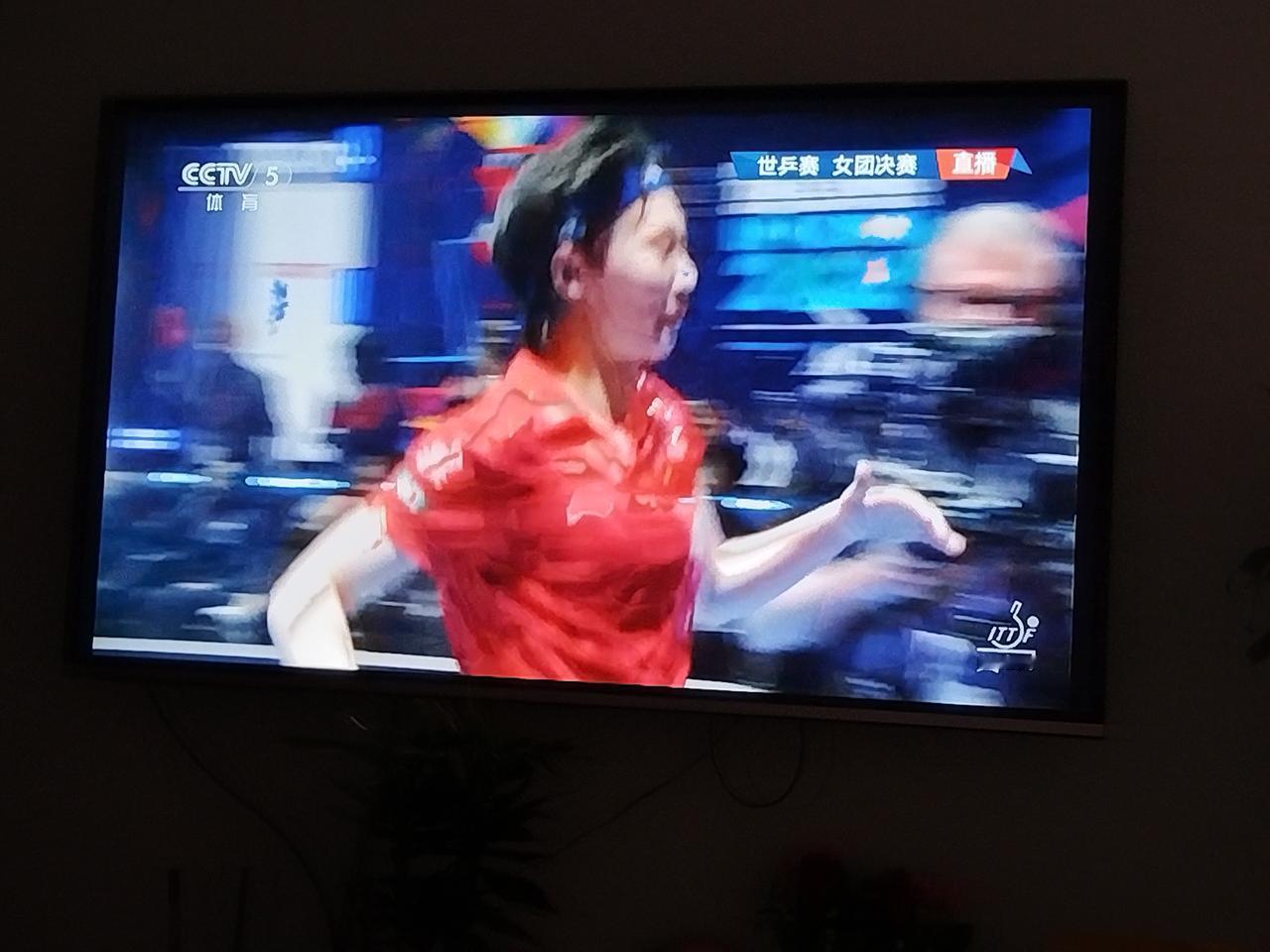 热烈祝贺中国女乒3:2战胜日本队第24次获得考比伦杯[烟花][烟花][给